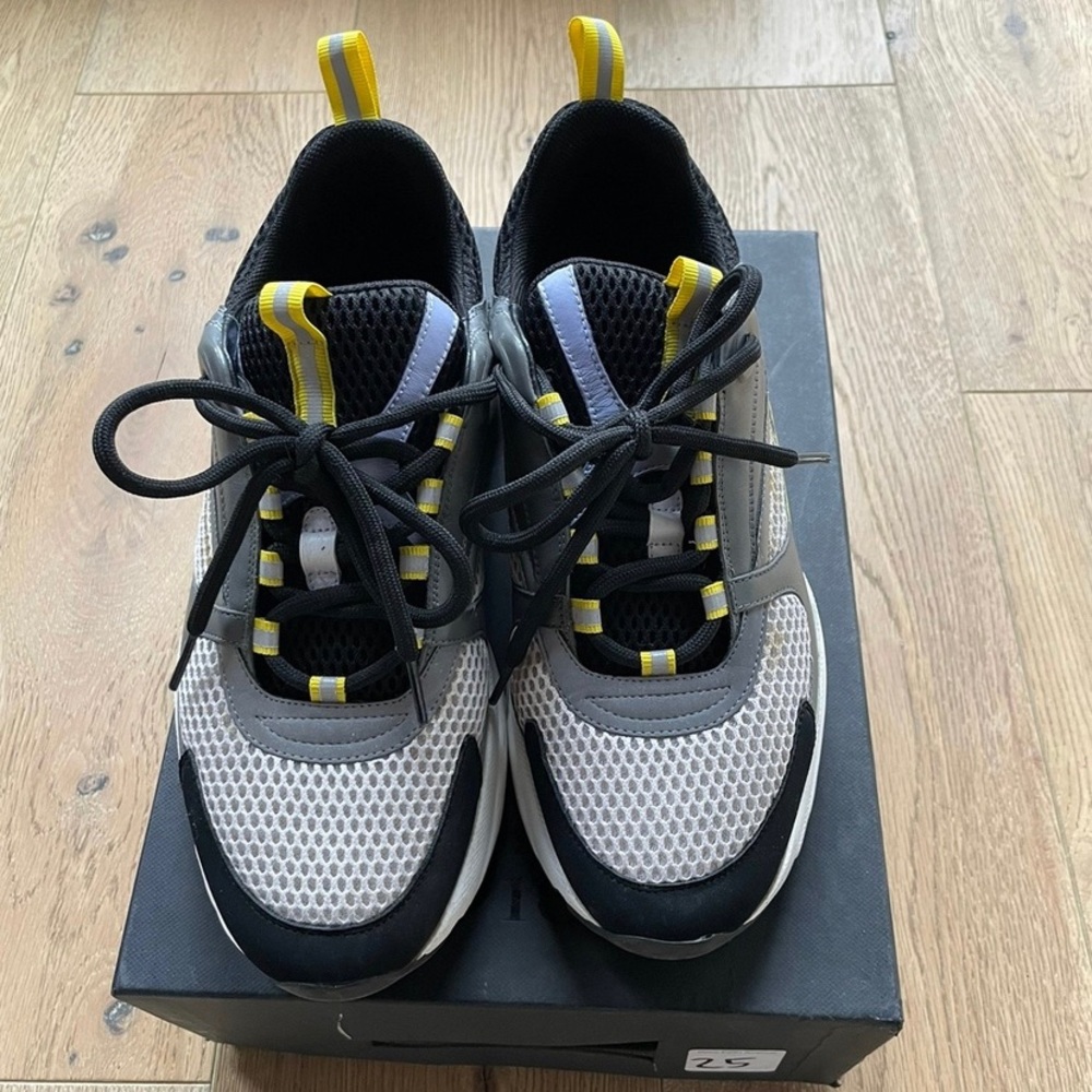Dior b 22 Yellow and Grey